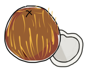 coconut-oil-for-dental-heal coconut oil for dental health