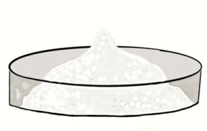 xylitol-for-dental-health xylitol for dental health